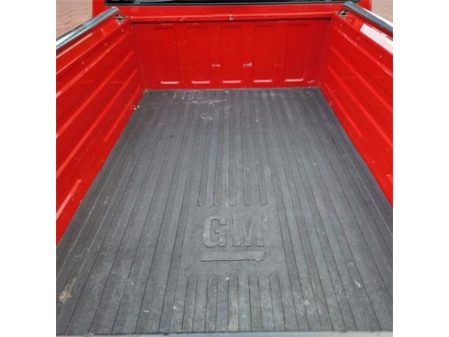 1995 Chevrolet C/K 1500 (CC-2105835) for sale in Cadillac, Michigan