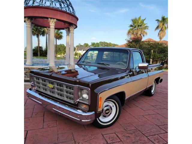 1978 Chevrolet C10 (CC-2105837) for sale in Cadillac, Michigan