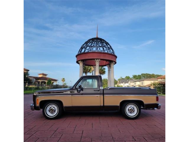 1978 Chevrolet C10 (CC-2105837) for sale in Cadillac, Michigan