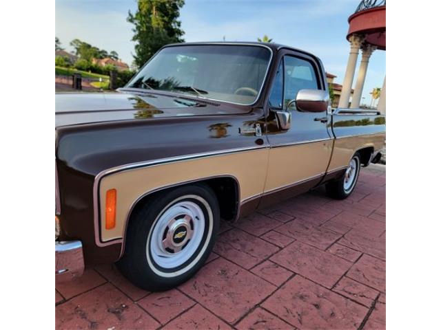 1978 Chevrolet C10 (CC-2105837) for sale in Cadillac, Michigan
