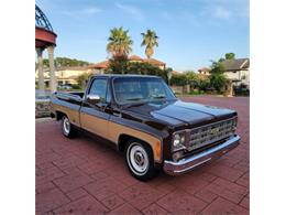 1978 Chevrolet C10 (CC-2105837) for sale in Cadillac, Michigan