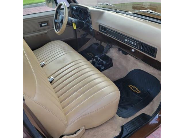 1978 Chevrolet C10 (CC-2105837) for sale in Cadillac, Michigan
