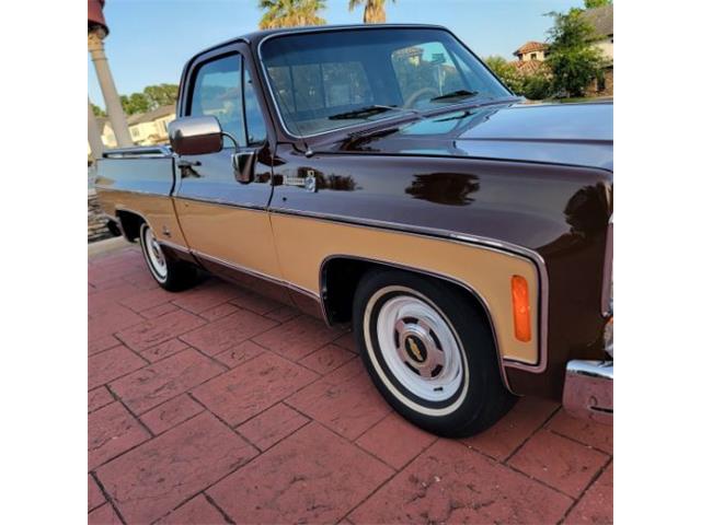 1978 Chevrolet C10 (CC-2105837) for sale in Cadillac, Michigan