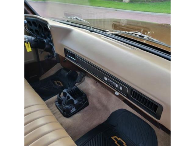 1978 Chevrolet C10 (CC-2105837) for sale in Cadillac, Michigan