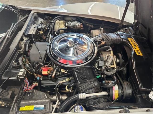 1981 Chevrolet Corvette (CC-2105849) for sale in Cadillac, Michigan