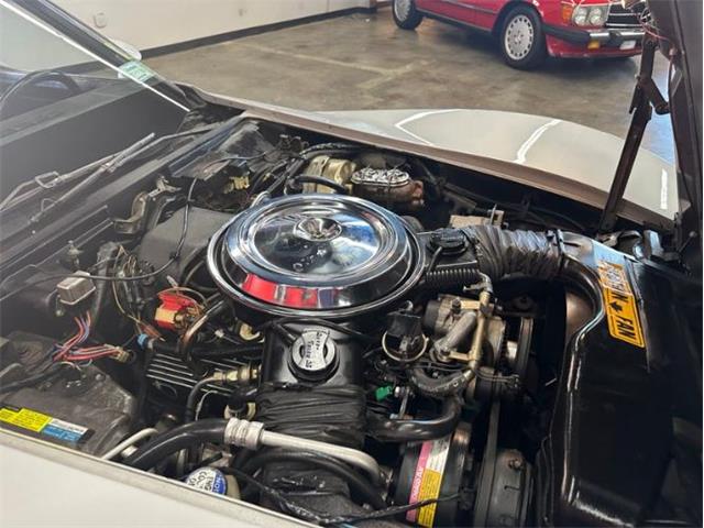 1981 Chevrolet Corvette (CC-2105849) for sale in Cadillac, Michigan