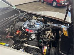 1981 Chevrolet Corvette (CC-2105849) for sale in Cadillac, Michigan