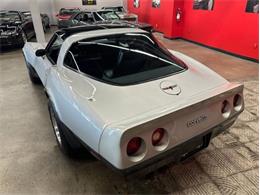 1981 Chevrolet Corvette (CC-2105849) for sale in Cadillac, Michigan