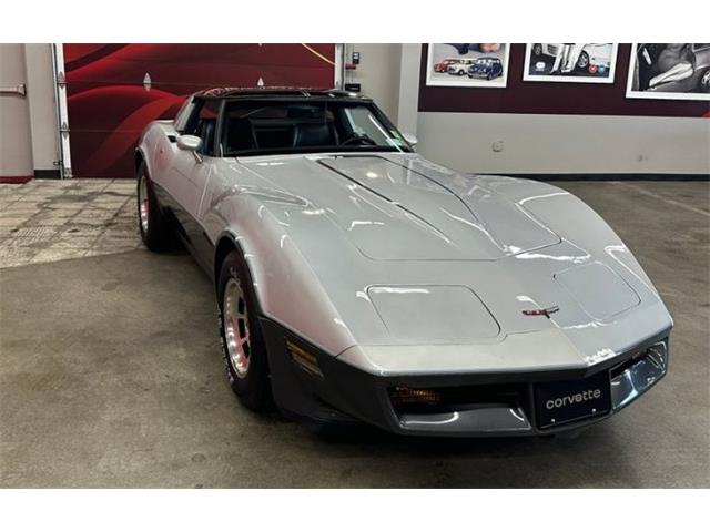 1981 Chevrolet Corvette (CC-2105849) for sale in Cadillac, Michigan