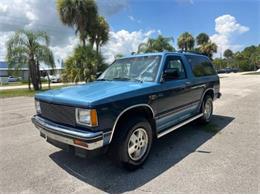 1987 Chevrolet Blazer (CC-2105851) for sale in Cadillac, Michigan