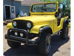 1978 AMC Jeep Laredo (CC-2105856) for sale in Cadillac, Michigan