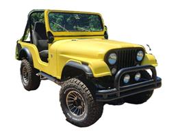 1978 AMC Jeep Laredo (CC-2105856) for sale in Cadillac, Michigan