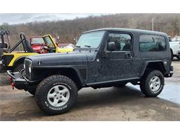 2004 Jeep Wrangler (CC-2105857) for sale in Cadillac, Michigan