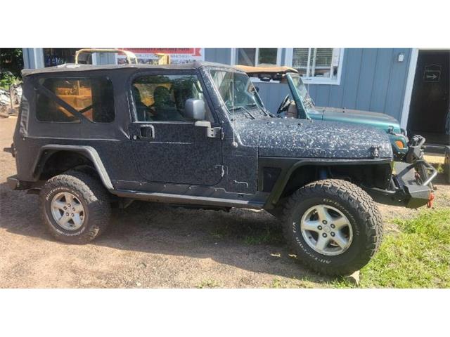 2004 Jeep Wrangler (CC-2105857) for sale in Cadillac, Michigan