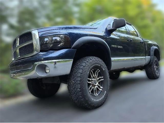 2002 Dodge Ram 1500 (CC-2105861) for sale in Cadillac, Michigan