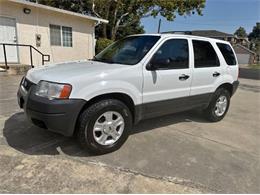 2004 Ford Escape (CC-2105872) for sale in Cadillac, Michigan
