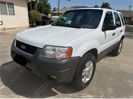 2004 Ford Escape (CC-2105872) for sale in Cadillac, Michigan