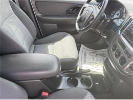 2004 Ford Escape (CC-2105872) for sale in Cadillac, Michigan