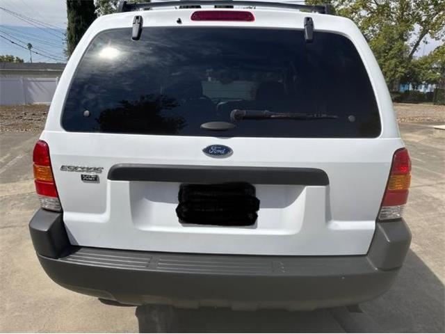 2004 Ford Escape (CC-2105872) for sale in Cadillac, Michigan