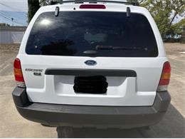 2004 Ford Escape (CC-2105872) for sale in Cadillac, Michigan