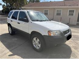 2004 Ford Escape (CC-2105872) for sale in Cadillac, Michigan