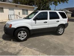 2004 Ford Escape (CC-2105872) for sale in Cadillac, Michigan