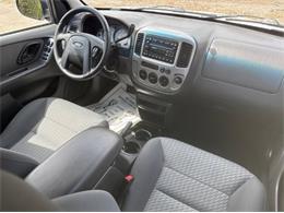 2004 Ford Escape (CC-2105872) for sale in Cadillac, Michigan