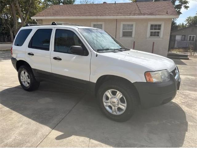 2004 Ford Escape (CC-2105872) for sale in Cadillac, Michigan
