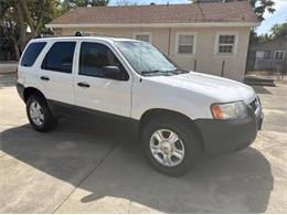 2004 Ford Escape (CC-2105872) for sale in Cadillac, Michigan