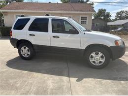 2004 Ford Escape (CC-2105872) for sale in Cadillac, Michigan