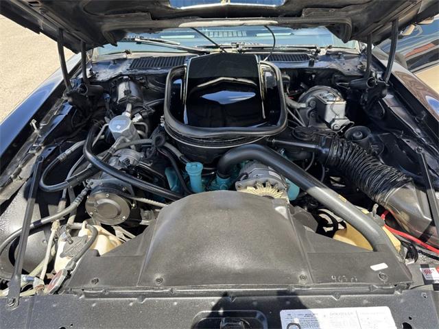 1979 Pontiac Firebird Trans Am (CC-2105903) for sale in Henderson, Nevada