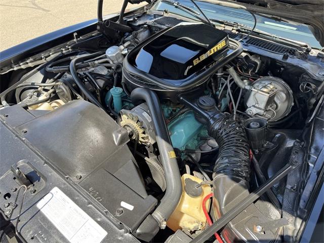 1979 Pontiac Firebird Trans Am (CC-2105903) for sale in Henderson, Nevada