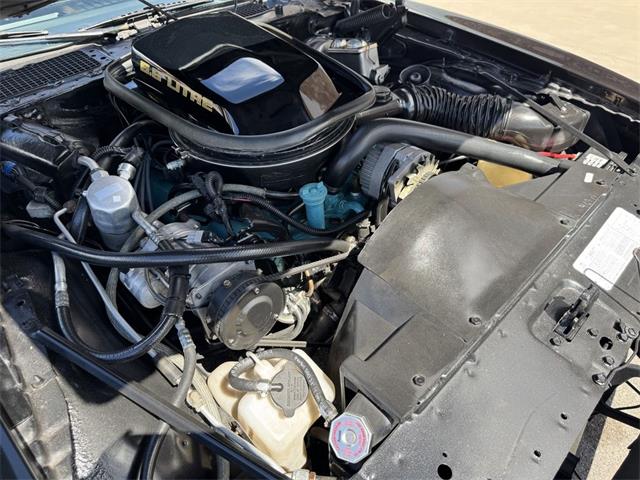 1979 Pontiac Firebird Trans Am (CC-2105903) for sale in Henderson, Nevada