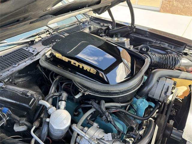 1979 Pontiac Firebird Trans Am (CC-2105903) for sale in Henderson, Nevada