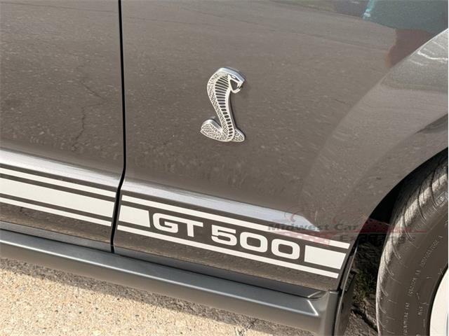 2009 Ford Mustang Shelby GT500 (CC-2105916) for sale in Alsip, Illinois