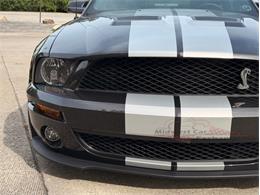 2009 Ford Mustang Shelby GT500 (CC-2105916) for sale in Alsip, Illinois