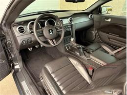 2009 Ford Mustang Shelby GT500 (CC-2105916) for sale in Alsip, Illinois
