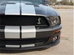 2009 Ford Mustang Shelby GT500 (CC-2105916) for sale in Alsip, Illinois