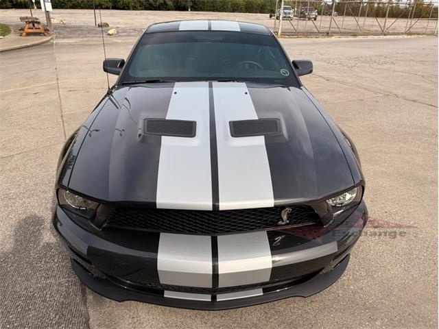 2009 Ford Mustang Shelby GT500 (CC-2105916) for sale in Alsip, Illinois