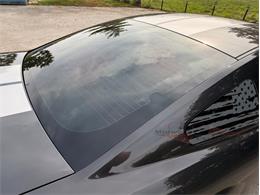 2009 Ford Mustang Shelby GT500 (CC-2105916) for sale in Alsip, Illinois