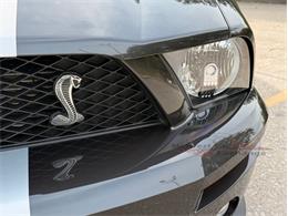 2009 Ford Mustang Shelby GT500 (CC-2105916) for sale in Alsip, Illinois