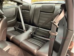 2009 Ford Mustang Shelby GT500 (CC-2105916) for sale in Alsip, Illinois