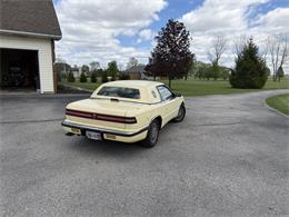 1989 Chrysler TC by Maserati (CC-2100597) for sale in Sunbury, Ohio