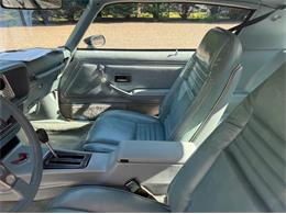 1979 Pontiac Firebird (CC-2106002) for sale in Newfield, New Jersey