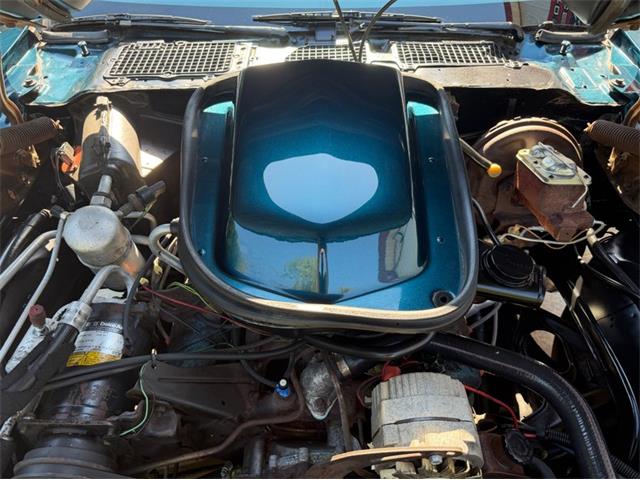 1979 Pontiac Firebird (CC-2106002) for sale in Newfield, New Jersey