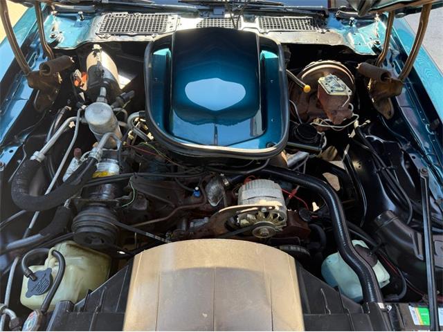 1979 Pontiac Firebird (CC-2106002) for sale in Newfield, New Jersey