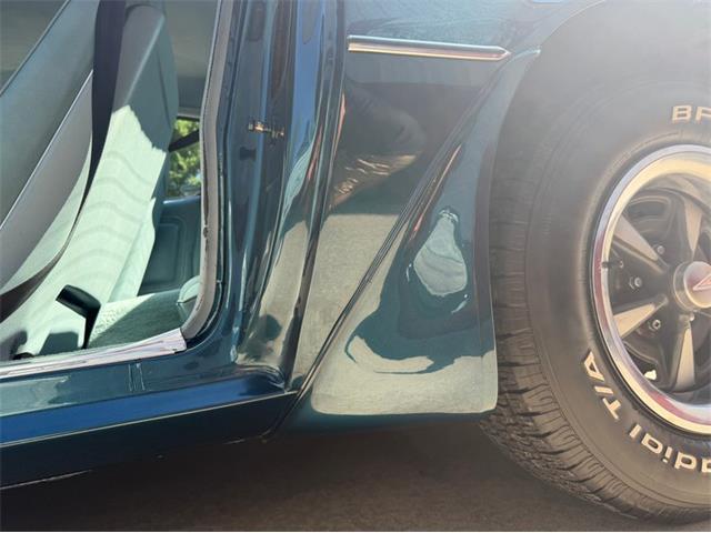 1979 Pontiac Firebird (CC-2106002) for sale in Newfield, New Jersey