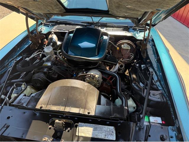 1979 Pontiac Firebird (CC-2106002) for sale in Newfield, New Jersey