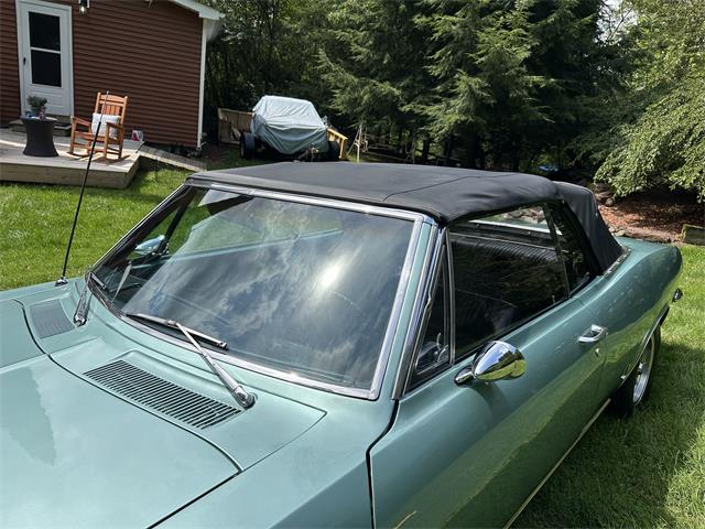 1965 Chevrolet Corvair (CC-2106066) for sale in white haven , Pennsylvania
