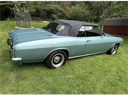 1965 Chevrolet Corvair (CC-2106066) for sale in white haven , Pennsylvania